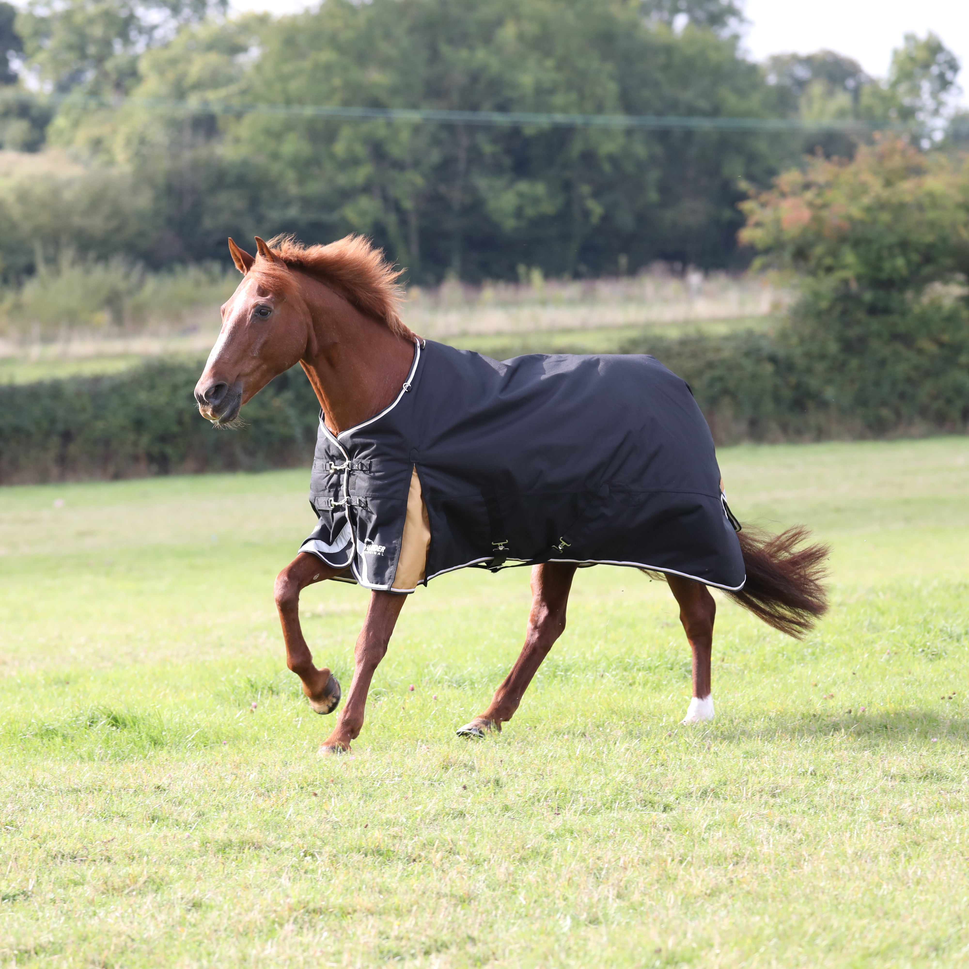 Highlander Plus 200 Turnout Rug