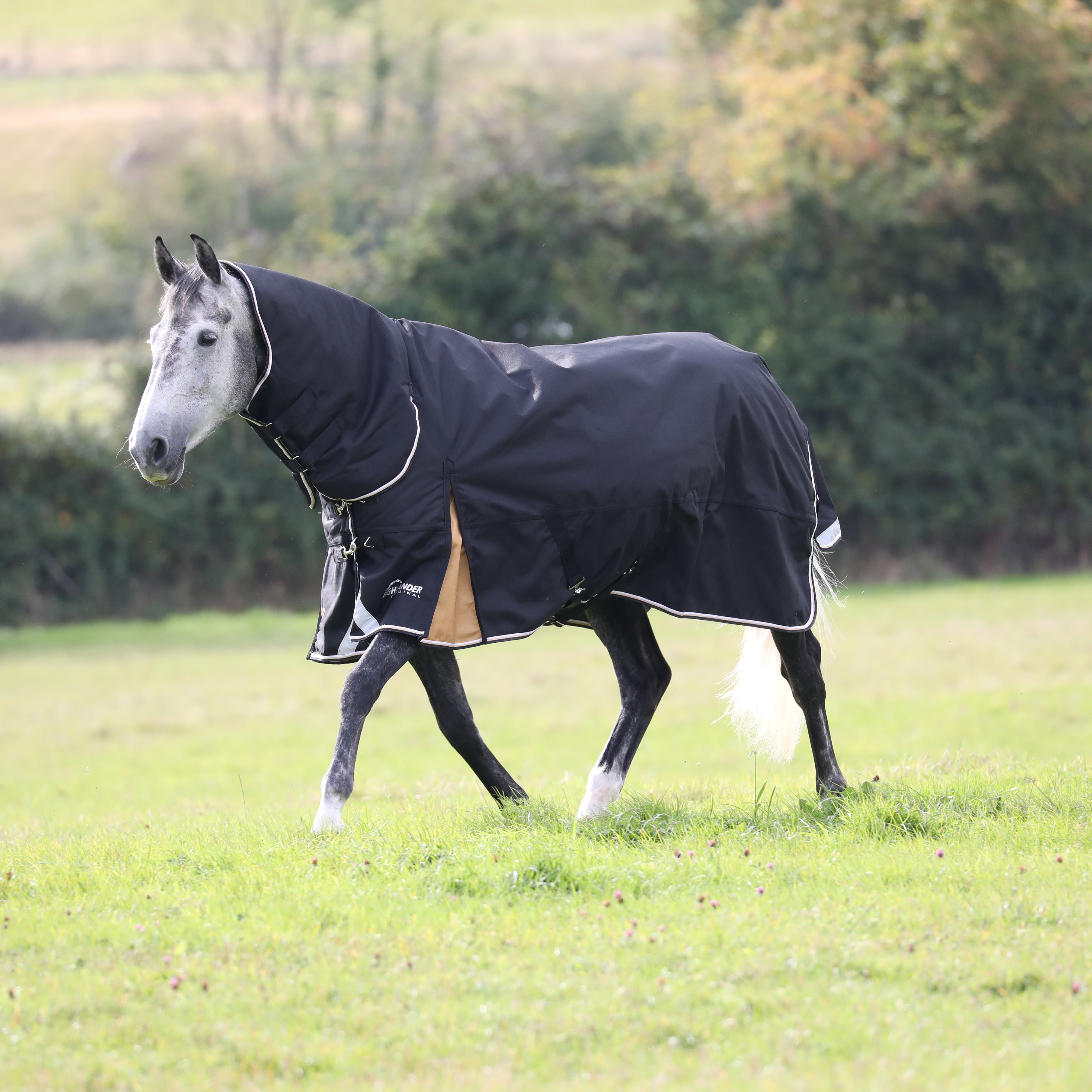 Highlander Plus 200 Combo Turnout Rug