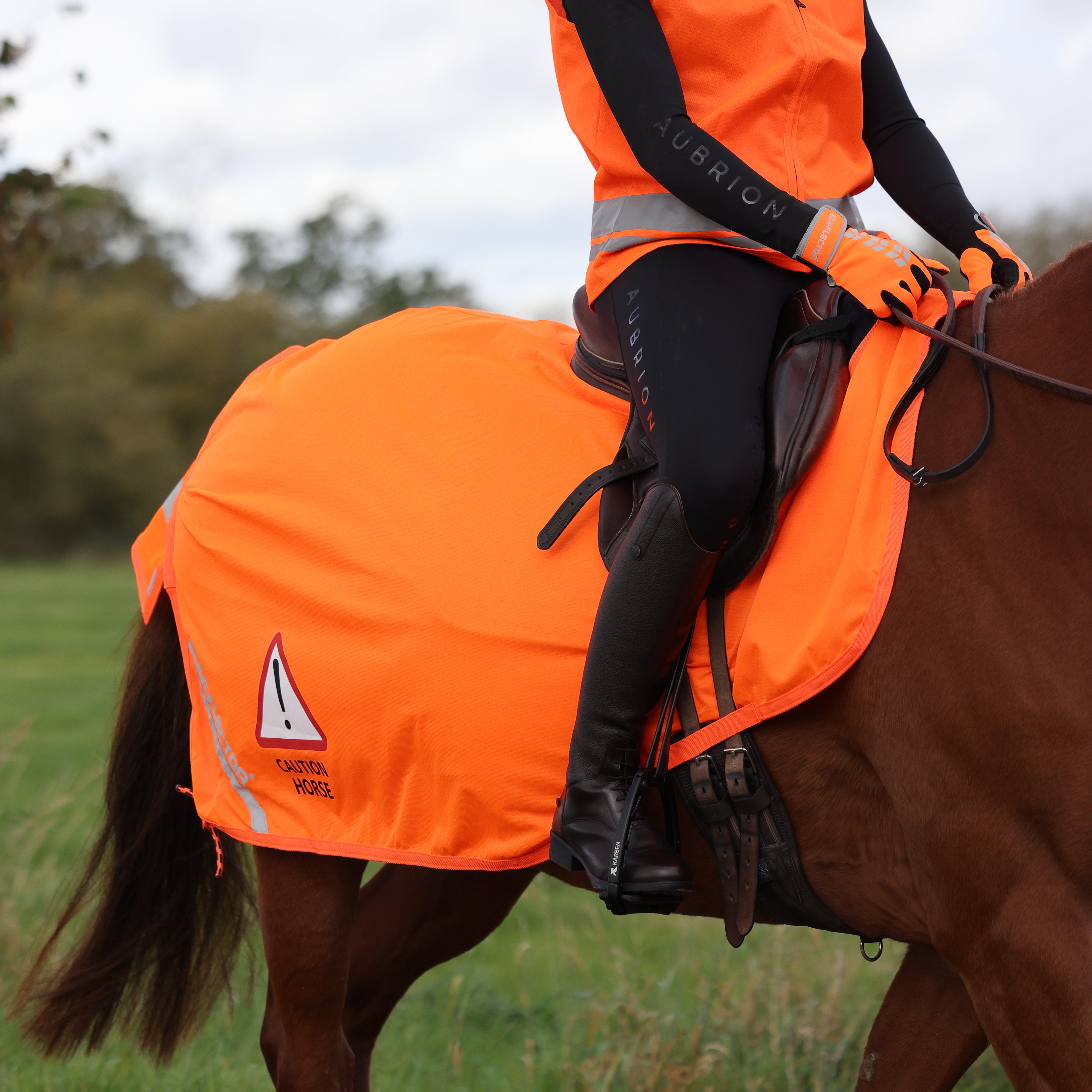 Shires Nylon Harbridge Aiuto Allenamento - Ideale Per Pony O Cavallo Completo, Perfetto Per Lavoro In Rete E Transizioni