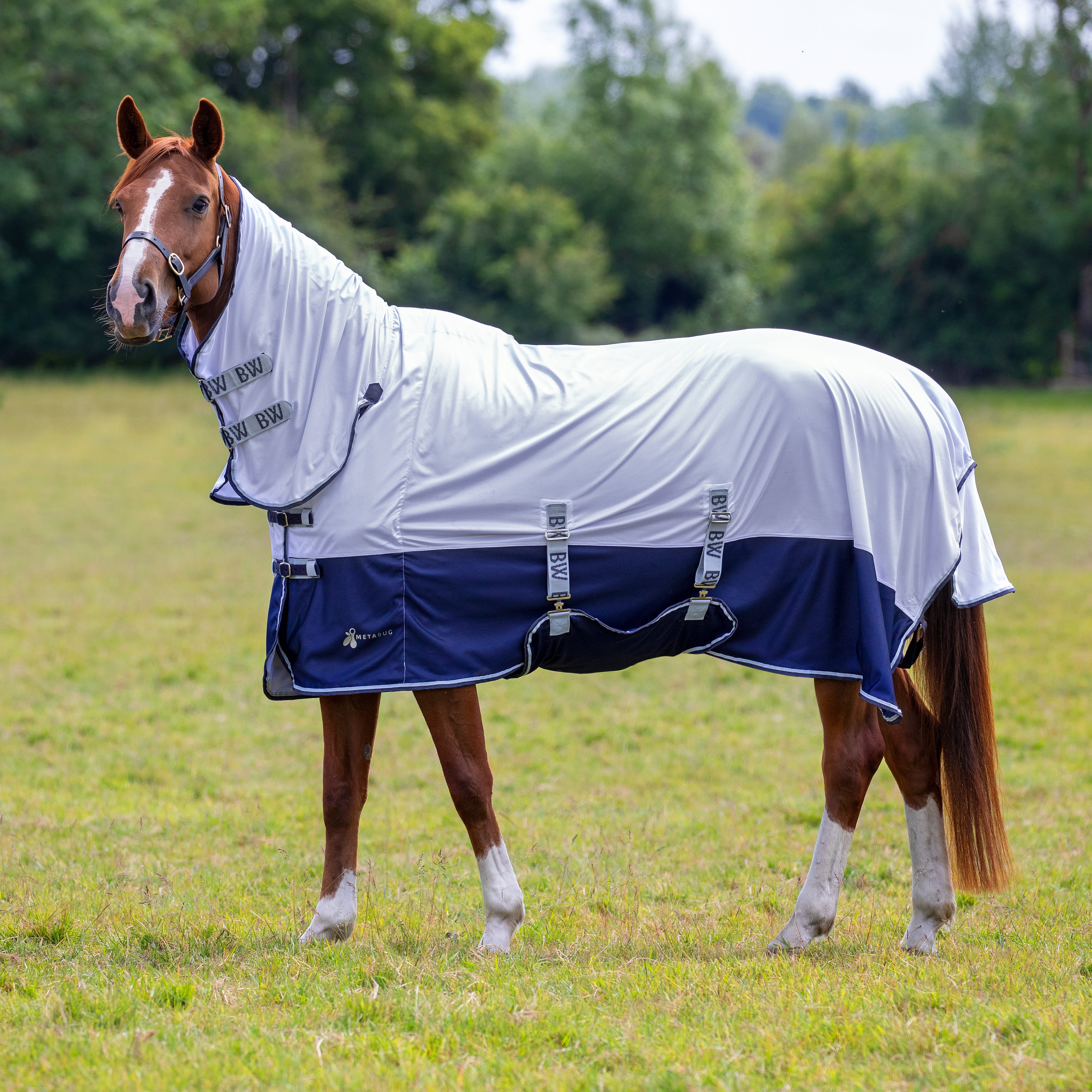 Metabug Plus Fly Combo Rug